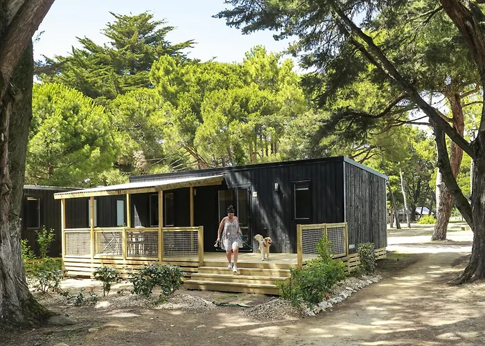 Camping Les Tamarins 4*