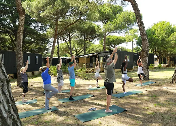 Camping Les Tamarins 4*