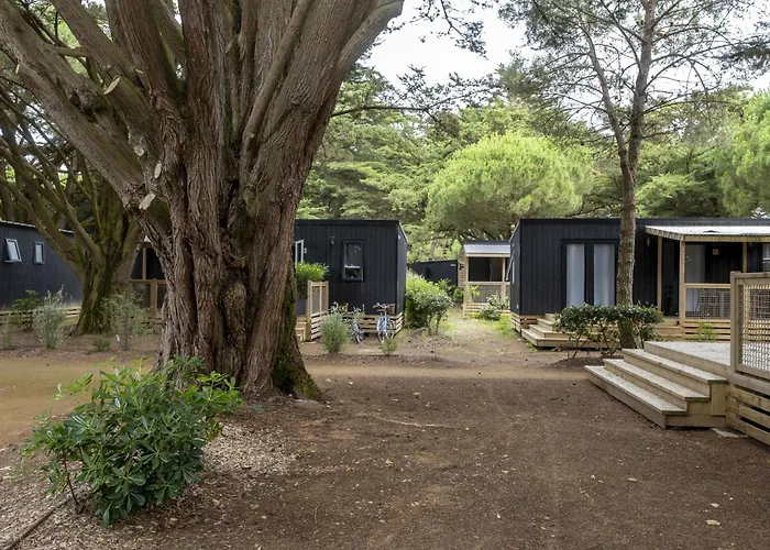 Les Tamarins Camping 4*