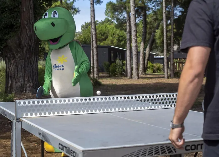 Les Tamarins Camping Le Bois-Plage-en-Ré