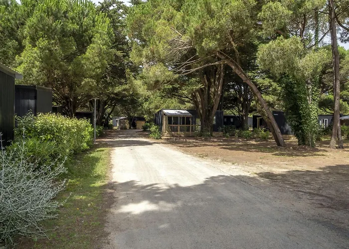 Les Tamarins Camping