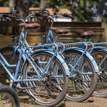 Les Tamarins Le Bois-Plage-en-Re