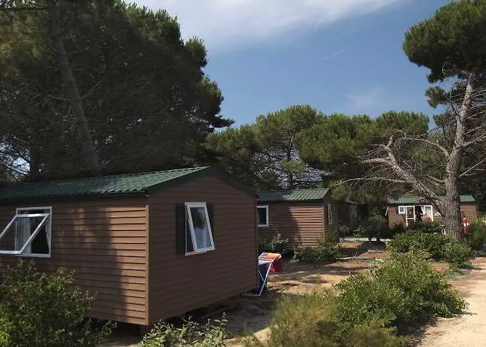 Les Tamarins Le Bois-Plage-en-Re