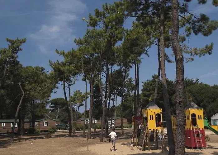 Campsite Les Tamarins