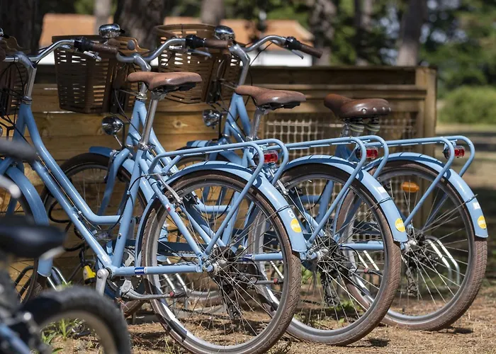 Les Tamarins Le Bois-Plage-en-Re